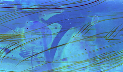 
			El enigma es el vidrio