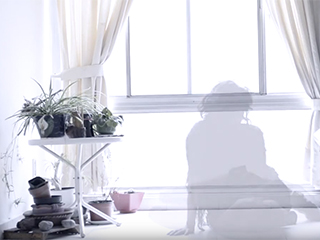 
			EFE | Fuerza y Fragilidad