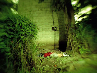 
			Storytelling Gerardo Montiel