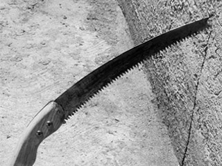 
			Los epítetos de la luz