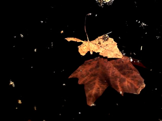 
			Decíamos que éramos hermanas